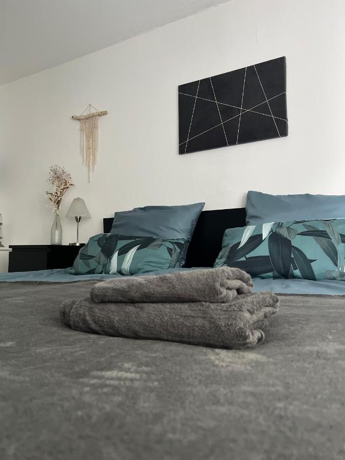 Steinach Apartment Neuffen Extérieur photo